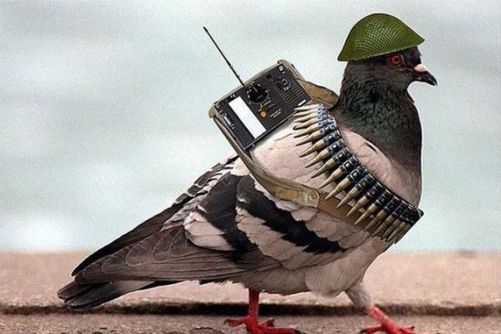 Űź  ѱ? ε    