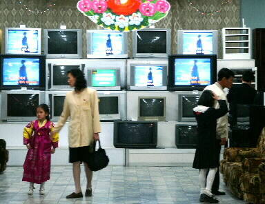  ȹ濡  TV ٷ ١ 籹, ³ ſ      