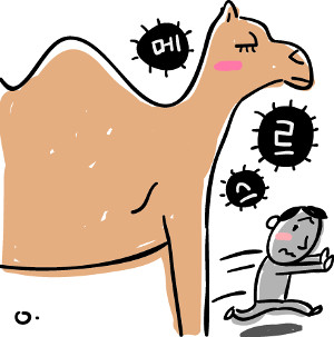 Ÿ  ? ݲ Ÿ⡤Ÿ  Ե ѹ   