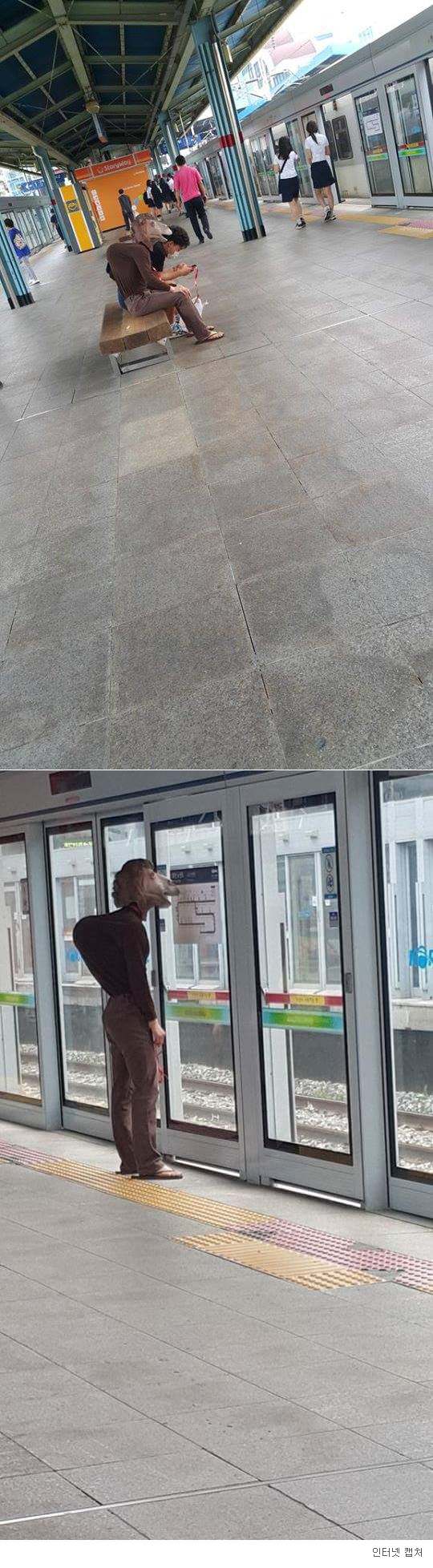 ϡ     ޸   ̽  