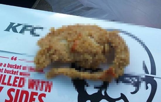 [] ڸ KFC ġŲ ڽ   Ƣ ߰ߡ  ־  