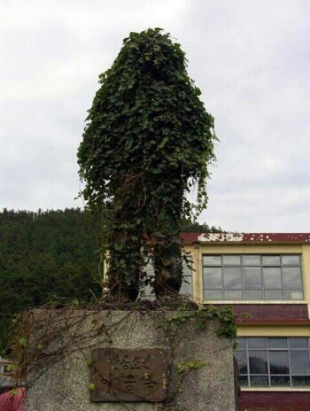 ݰҳ ̽º Ȳ  ȭƼ ڿ ȭ (?)  