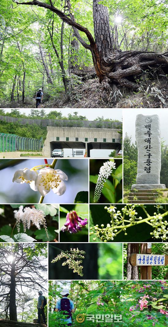 [  '  ']  翬 ġ , δ밣 ϴ    