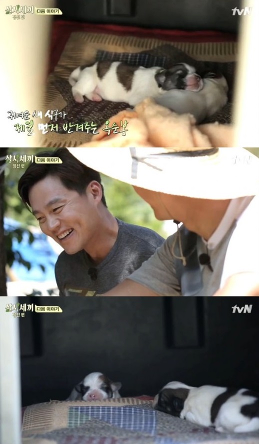 ‘삼시세끼’ 밍키, 새끼 낳았다… 차기 마스코트 탄생  