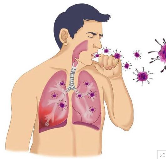 메르스 신규 확진자 8일째 0명… 치료 중 환자 20명 남아  