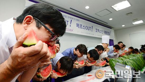 코엑스 마이스(MICE)산업 성공기원 수박 먹기 대회  