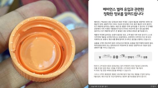 구더기 액상분유 반전… 식약처 “소비 단계 문제” 결론  