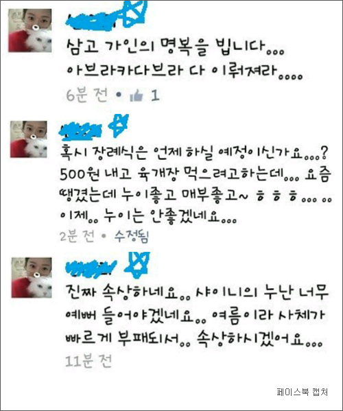 잡아야 한다! 수원 여대생 피해자에 악플 남긴 이 자!… 페북지기 초이스  