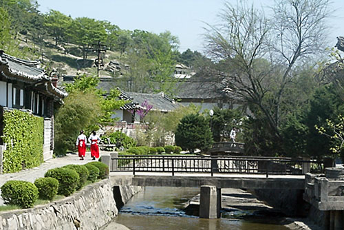 “금강산 바리스타처럼 우울한 사람은 없다”  