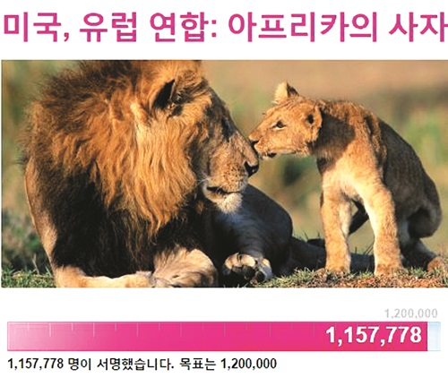 [친절한 쿡기자] 美 치과의사, 짐바브웨 ‘국민사자’ 잔혹 사냥 파장  