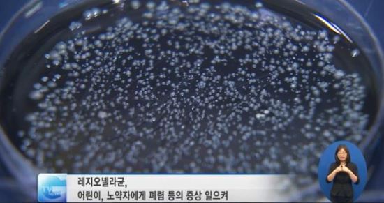 미 뉴욕 레지오넬라균 주의보…4명 사망, 70명 감염  