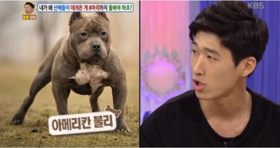 매일 상사 개 8마리 픽업하는 신입…자동차 딜러인지 애견센터 직원인지  