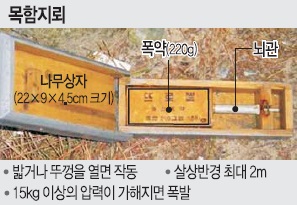 [ DMZ  ]   , TNT 220g  ų Ѳ    