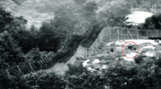[ DMZ  ]   ο ߡ   븰   