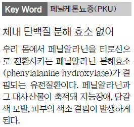 Ư õ硯 PKUȯ<ͺ: 洢>  ׵  ƽʴϱ  
