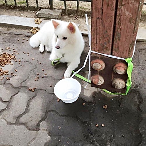 ̰  ŵ!    ò  