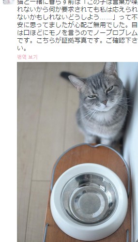 ̴  Ѵ, ٷ ̷ԡ 1 Ʈ   