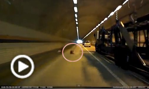 [영상] 어두운 터널에서 라바콘 ‘갑툭튀’… 대형 사고날 뻔 ‘아찔’  