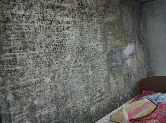 []  ޸   á䡱    