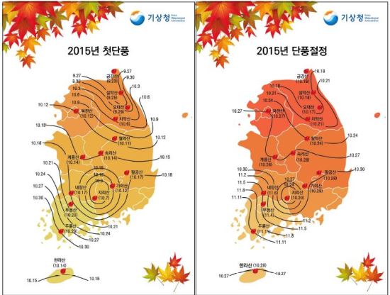 “올 가을 단풍 하루 이틀 빨리 볼 수 있어요”  