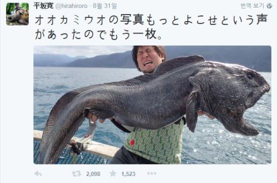 [] Ȫī̵  ⡯ , ø     