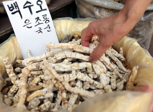 20억 살린 신묘한 투자자의 실체… 가짜 백수오 황당거래  