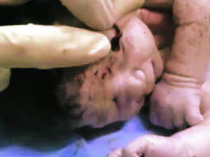 Ż ̸  ߸ ø ھƱ ¾⵵   ¾  