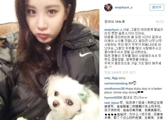 “애기가 하늘나라로 떠났어요”…소녀시대 서현 반려견 소식에 위로 댓글  