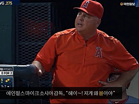 [5컷뉴스] 볼! 볼! 볼! 볼!… 추신수 출루에 흥겨운 텍사스  