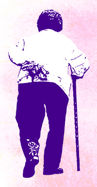 š   ҡ ѳȸ,    2000   