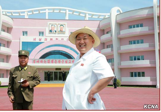, 춧 ѽ   米, Ȳ繫  ü  