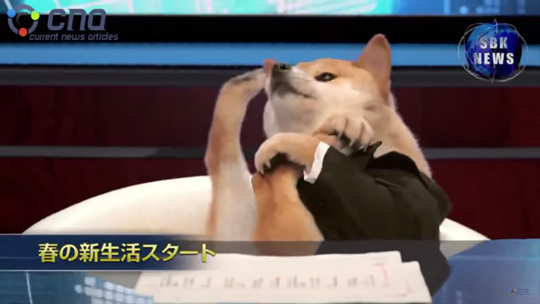 [] ߻ ŵޡ ùٰ, Ŀƴ  