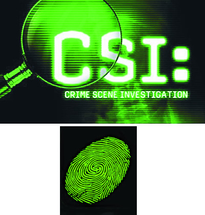 [ѱ CSI  Գ]   Ҹ     