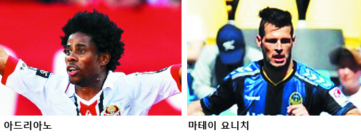 õ 츮 ACL ١ FA   10 31  º  