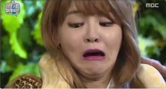 ڡ ,  Ʈ츶 غ Ʈ ҡ?  