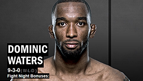 赿 UFC  ̴ ͽ ?  