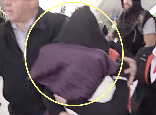 UFC д ο,   ä ͱ      