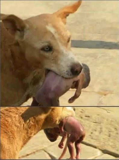 뿡  Ż  ó  ޷   