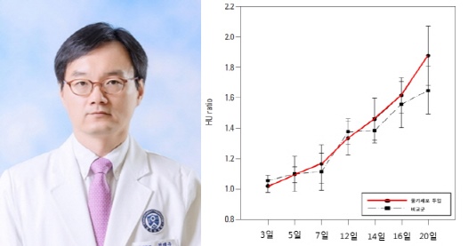 지방줄기세포, 골 재생 촉진해 골절 치유효과 발휘 확인  