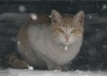 ȭ ̡ ̾ ȭ   ١  