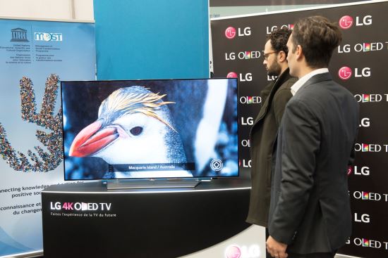 LG ÷ TV  ˸   