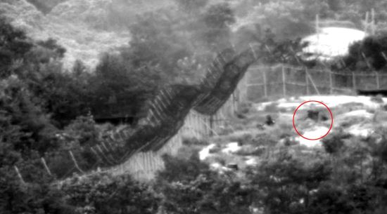   DMZ ڵ, ̱   а   
