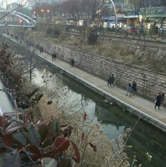 Ŀö   䡱   ȥ   