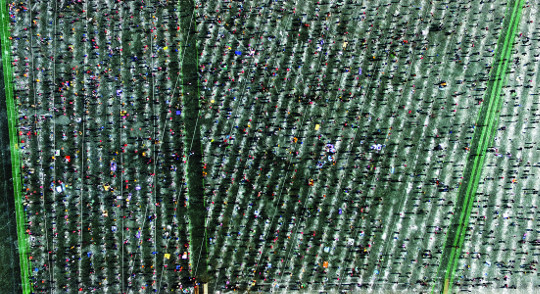 []  ܿ䡱 ȭõõ   