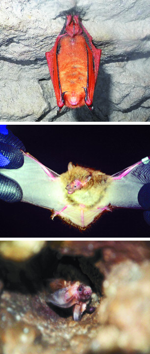 [] ǻꡤ   3   