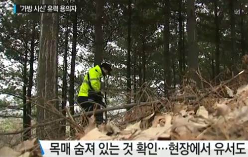 ͳ  20 ý,  ģ  ä ߰  