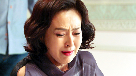 法, 막장드라마를 꾸짖다  
