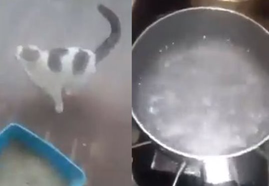  ̿   ״ٴϡ ڸ     