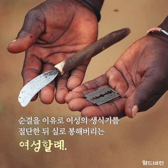 鵵Į ı , 10 ҳ  ǽ ҷʡ   1 3000   