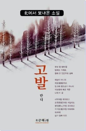  쳽  Ҽ ''    